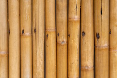 Koruyucu bir duvar veya çitin yakın plan dokusu paralel sıra doğal, kurutulmuş bambu saplarından inşa edilmiştir. Doğal malzemeler ve sürdürülebilir inşaat kavramı.