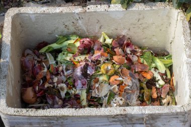 Sebze kırıntıları ve yumurta kabukları organik gübreleme için strafor kabuğundan toplanmış. Sürdürülebilir bahçe ve geri dönüşüm projelerinde doğal gübre olarak kullanılan mutfak atıklarının yakın çekimi