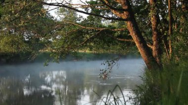 Şafakta nehrin üzerinde sis var.