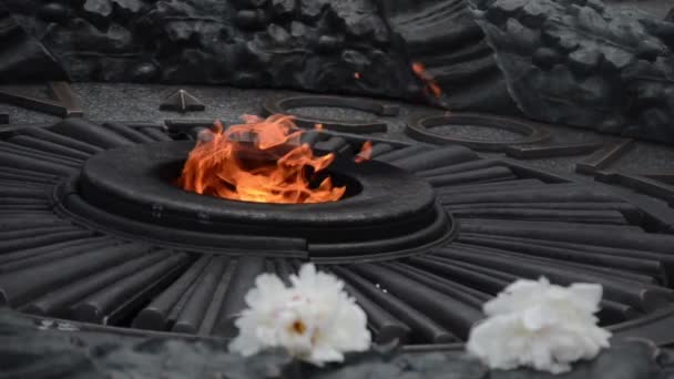Flamme éternelle sur le monument au soldat inconnu de la Seconde Guerre mondiale — Video