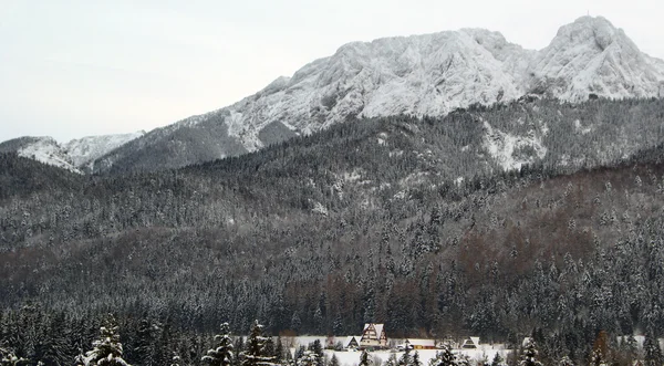 Alpina berg i Polen. — Stockfoto