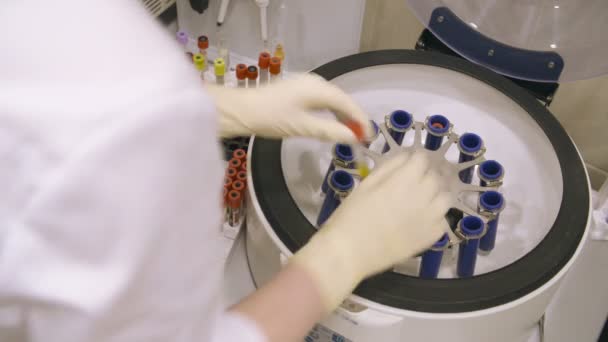 Enfermera poniendo muestras de sangre en la máquina centrífuga — Vídeos de Stock