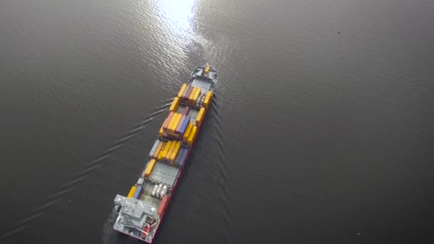 Aerial view of container ship in the sea — Stock Video
