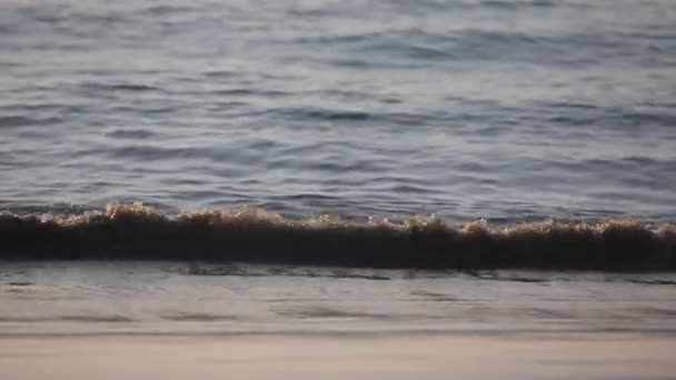夕方のビーチ — ストック動画