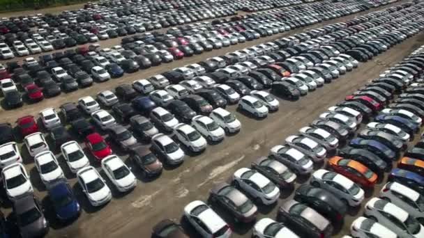 Вид с воздуха на парковку с новыми непроданными автомобилями — стоковое видео