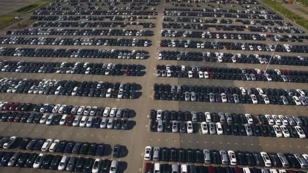 Almacenamiento de estacionamiento con coches nuevos — Vídeo de stock