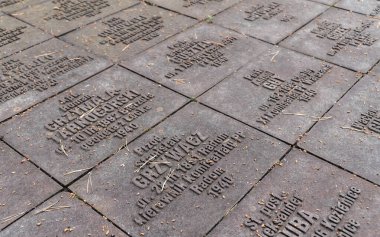 Polonya askeri mezarlığı