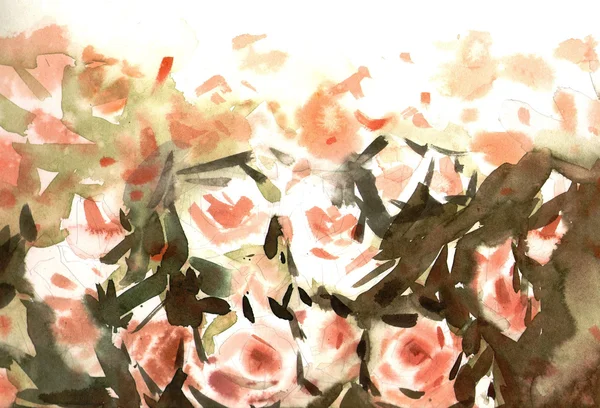 Aquarelle roses nues — Photo