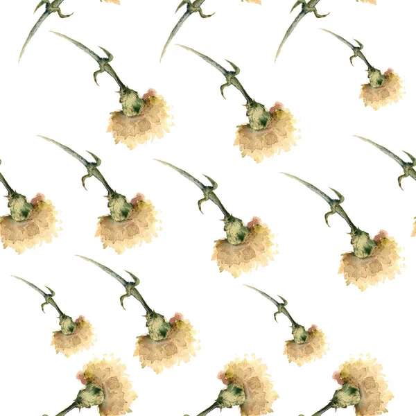 Aquarel carnation veldboeket naadloze patroon — Stockfoto