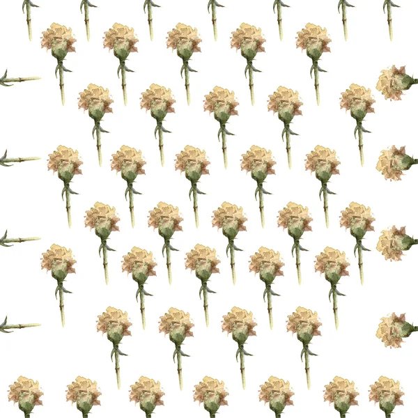 Akvarel nellike blomster sømløse mønster - Stock-foto