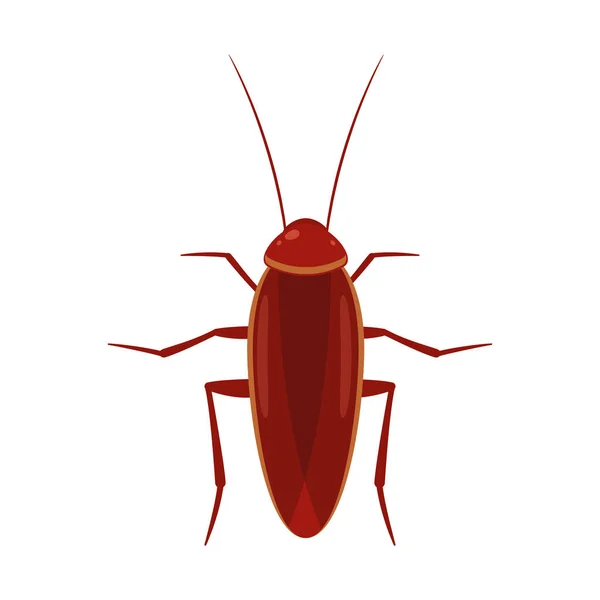 Brown Cockroach Isolated Vector Illustration — Stock Vector