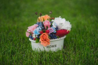 kompozisyon bir tencerede değişik çiçek