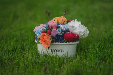 kompozisyon bir tencerede değişik çiçek