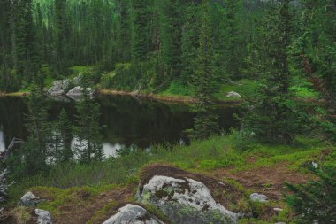 bir dağ Gölü kıyısında