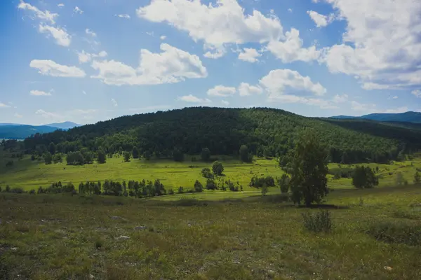 Prado verde en un día soleado — Foto de Stock