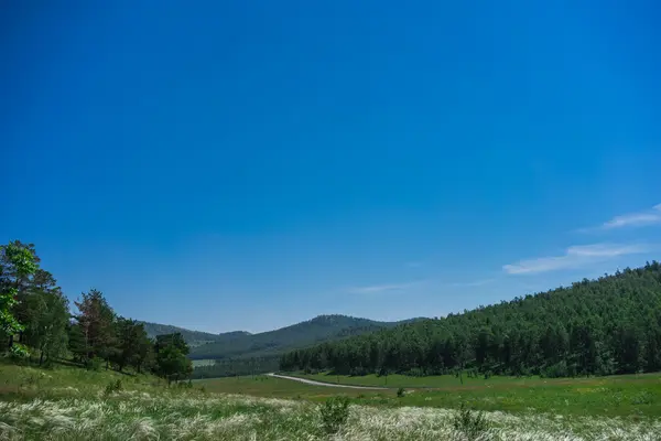 Grüne Felder und blauer Himmel — Stockfoto