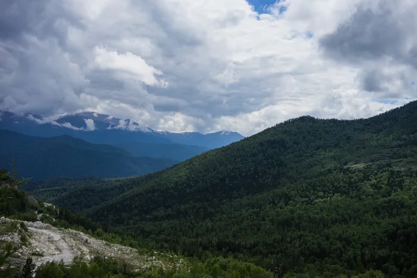 Foresta e cielo di montagna — Foto Stock