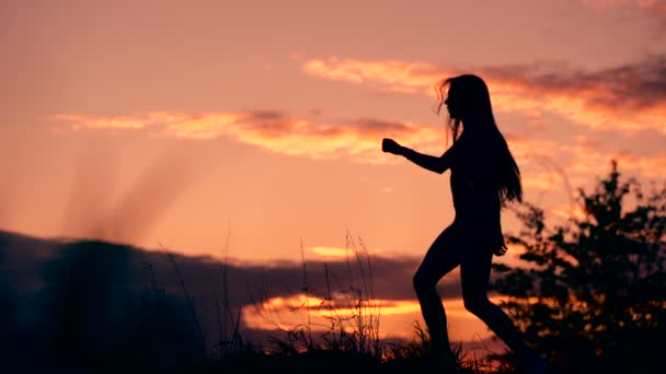 Silhouette der Frau, die bei schönem Sonnenuntergang einsam auf dem Feld steht — Stockvideo