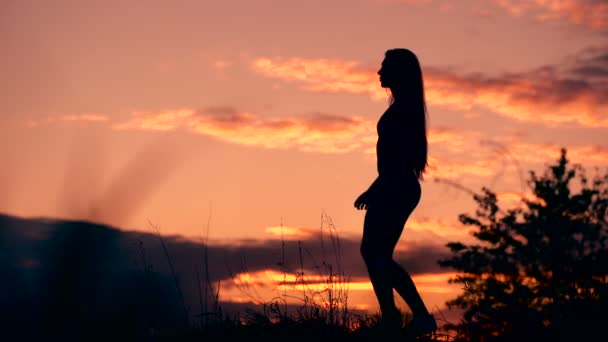 Silhouet van de vrouw permanent eenzaam op het veld tijdens de prachtige zonsondergang — Stockvideo