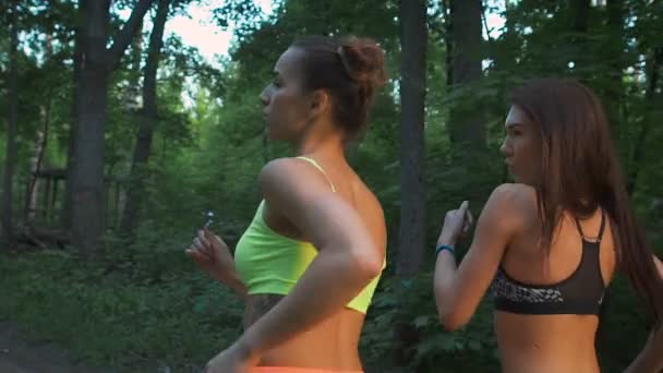 Δύο κορίτσια γυμναστήριο τρέχει μέσα από το δάσος. Ασκούν αθλητισμό τρόπο ζωής. Για την υγεία και τον τόνο. — Αρχείο Βίντεο