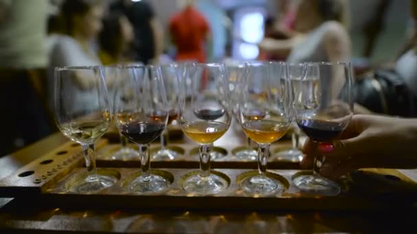 Degustazione vini. Vari vini d'annata imbottigliati da bicchieri di vino per degustazioni professionali . — Video Stock