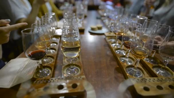 Wine tasting. Various vintage wines bottled by Wine glasses for professional tasting. — Stock Video