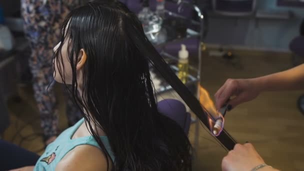 Στούντιο ομορφιάς, για Μελαχρινές με μακριά μαλλιά κάνοντας διαδικασία φωτιά κούρεμα. — Αρχείο Βίντεο