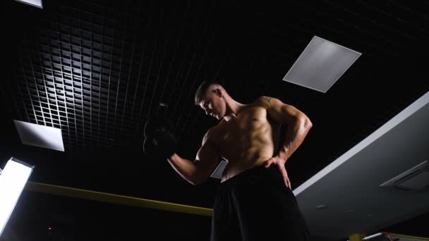 Hombre musculoso guapo haciendo ejercicio con pesas — Vídeos de Stock