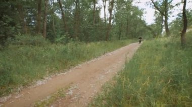 Kırsal. ağaçlar ve çalılar arasında toprak yol boyunca bisiklet sürmek.