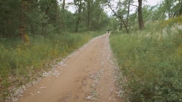 El campo. paseos en bicicleta por el camino de tierra entre los árboles y arbustos . — Vídeos de Stock