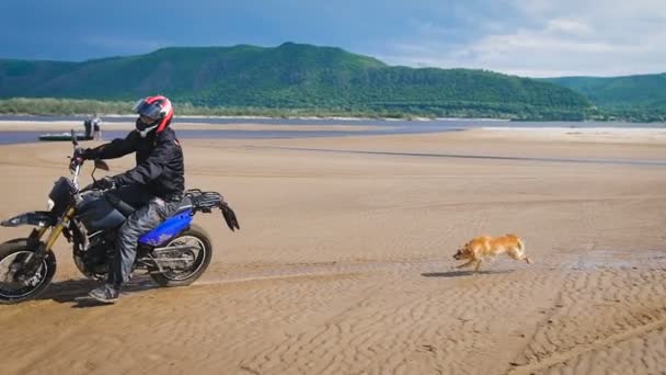 Motociclista passeios na praia de areia, correndo atrás dele bonito e engraçado cão . — Vídeo de Stock