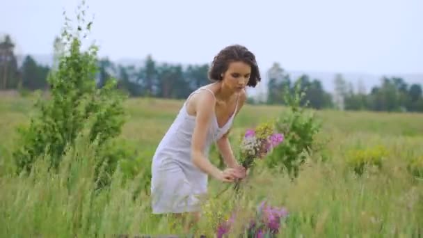 Zomer bloeiende veld en een mooi meisje in een witte sundress. — Stockvideo