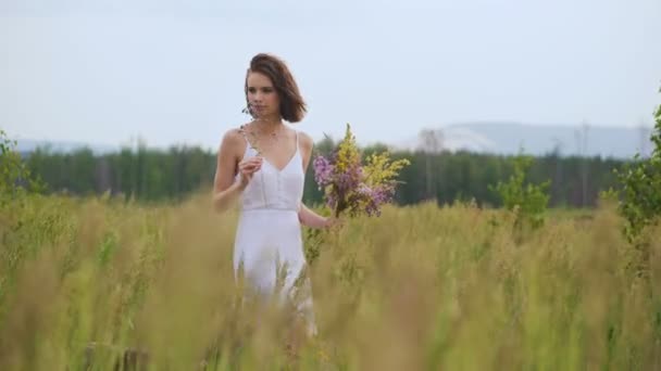 Summer flowering field and a beautiful girl in a white sundress. — Stock Video