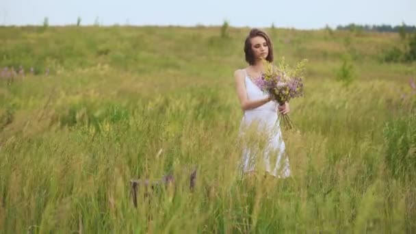 Zomer bloeiende veld en een mooi meisje in een witte sundress. — Stockvideo