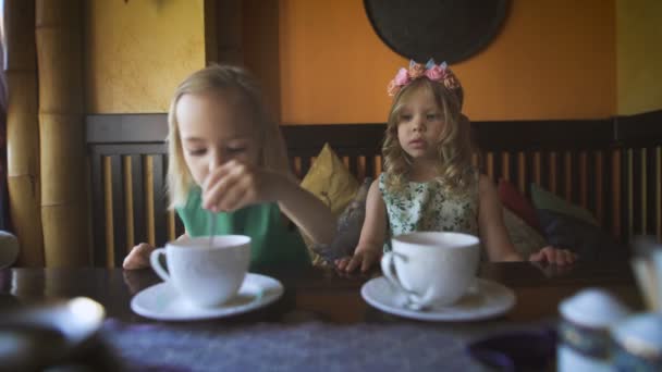 Duas garotinhas fofas estão tomando chá em um café — Vídeo de Stock