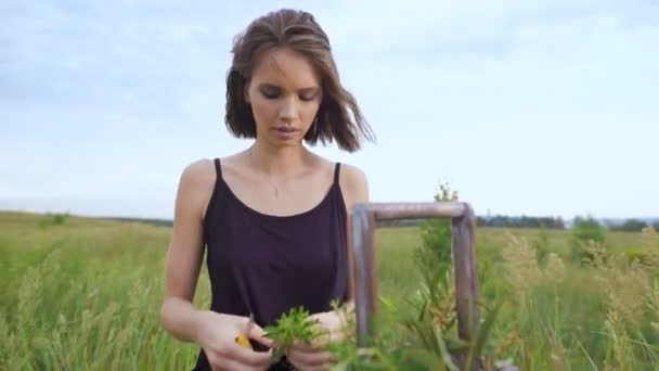 Schlankes Mädchen im schwarzen Kleid arbeitet mit Blumen bei Sonnenuntergang — Stockvideo