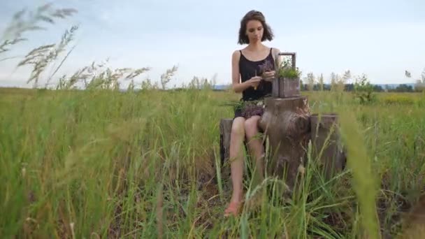 Chica delgada en vestido negro obras de flores al atardecer — Vídeo de stock