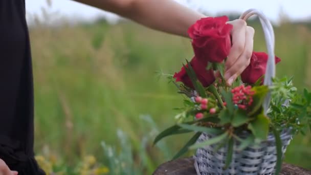 Skapandet av en blomsterarrangemang av rosor. — Stockvideo