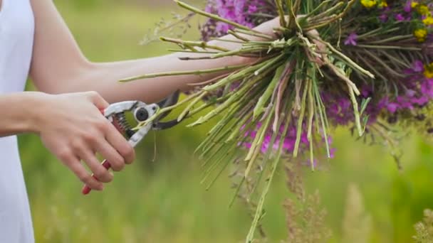 Una joven mujer haciendo un ramo de flores de pie en el campo verde — Vídeos de Stock