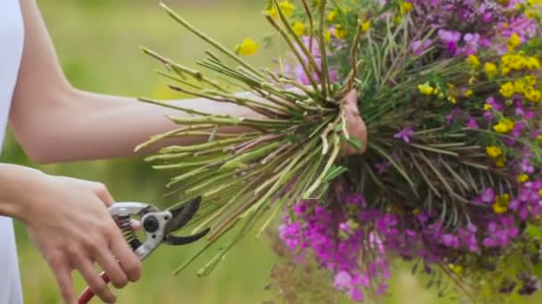 Una giovane donna che taglia fiori con un tagliatore, facendo un mazzo di fiori in piedi su un campo verde — Video Stock