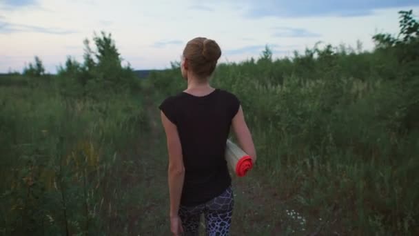 Inspirierte Frau, die auf einem Feld geht. — Stockvideo
