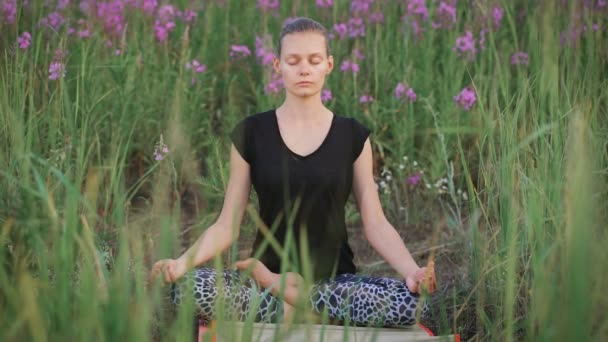 Schöne junge gesunde Frau macht Yoga-Übungen — Stockvideo