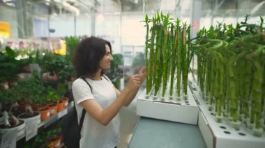 Güzel, genç kadın dükkanı onun daire için bir bitki seçerek