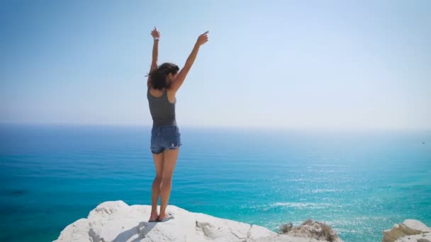 Uma jovem mulher em pé junto ao mar — Vídeo de Stock