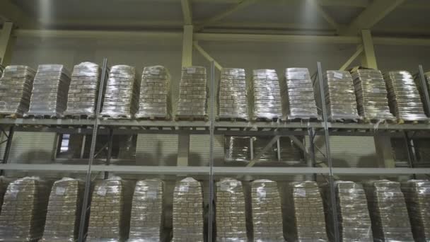 Великий склад меблів. Мезанінові стелажі з великими упаковками готових для відправлення продуктів. Склад оптовик . — стокове відео