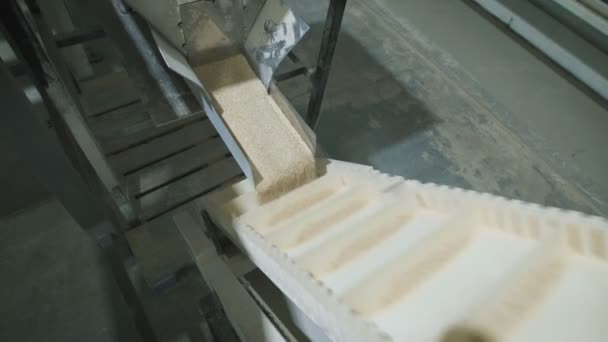 Havermout granen is verpakt in zakken in de fabriek. — Stockvideo