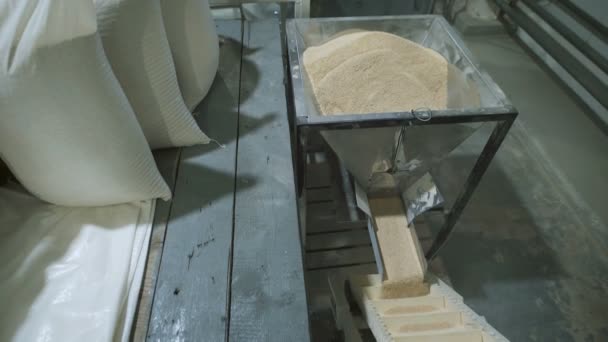 Havermout granen is verpakt in zakken in de fabriek. — Stockvideo