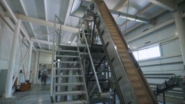 Mısır gevreği paketleme ve diğer gıda ürünleri fabrikası. Orada pirinç var..