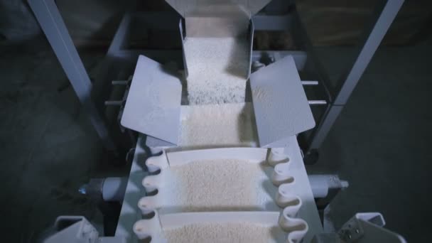 Fabbrica per l'imballaggio di cereali e altri prodotti alimentari. Là imballando il riso . — Video Stock