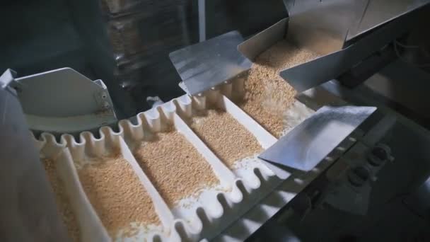 Modern food industry. Automatic machine for packing cereals. — Stock Video